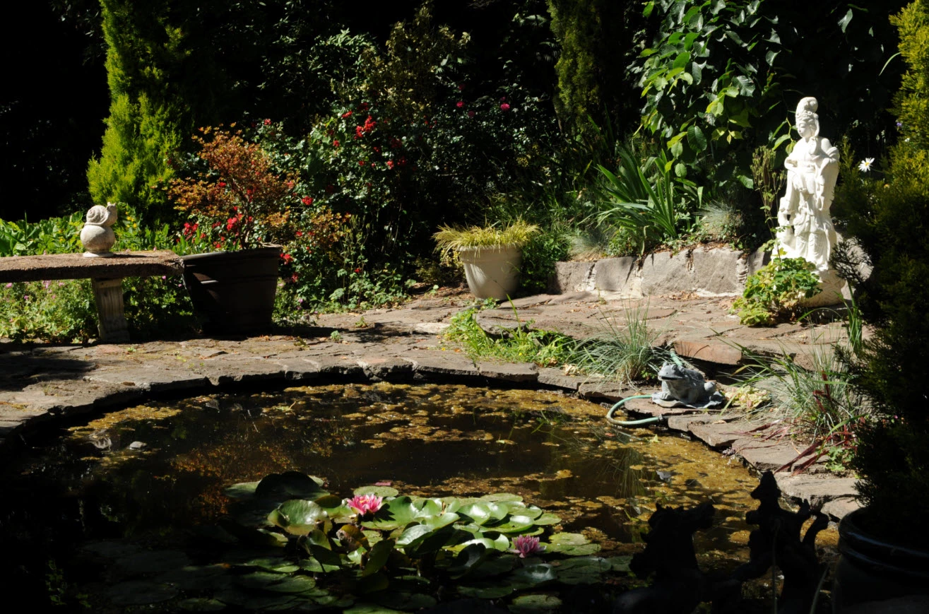 Pose de la Bâche EPDM - Étang Bassin d'eau et Jardin d'eau