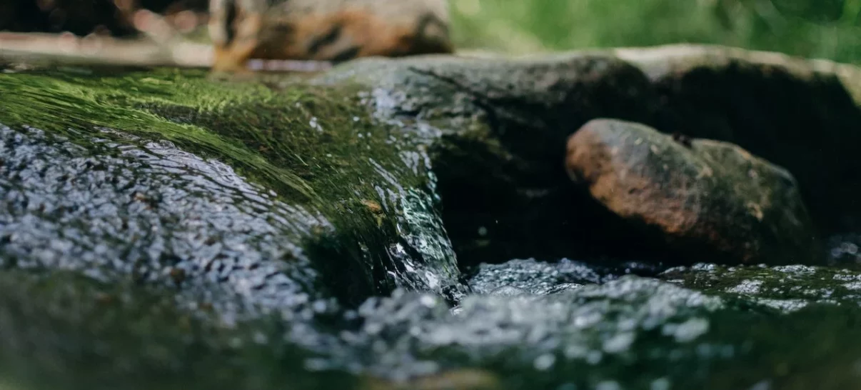 EPDM pour construire un petit bassin de jardin avec cascade