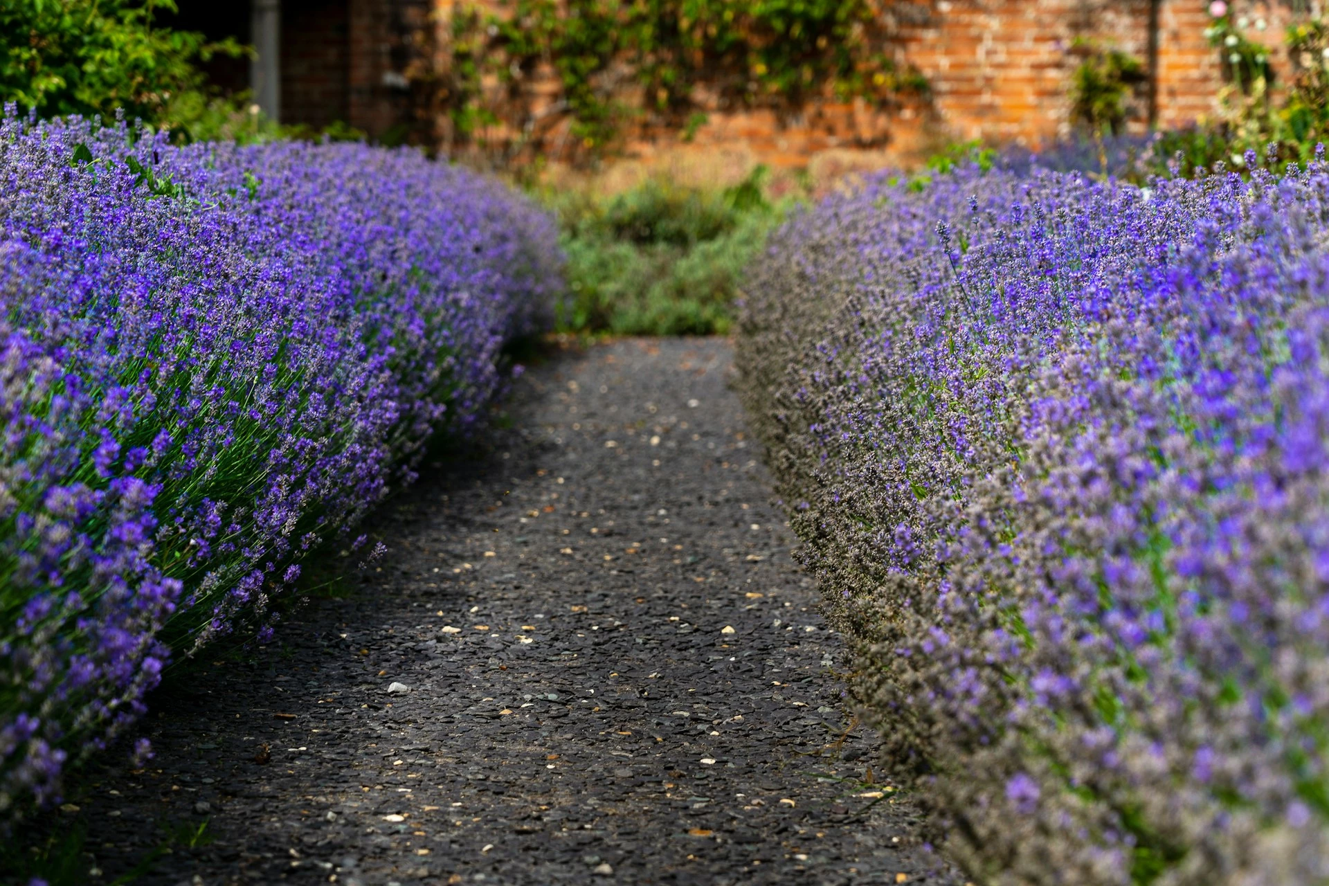 faire une allee de jardin