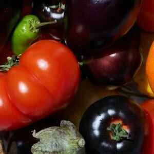 fabriquer carré potager